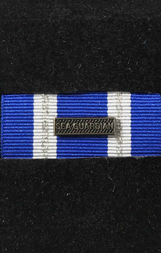 K5 US Medal Ordensspange Ribbon Bar 9-11 Transportation Coast Guard
